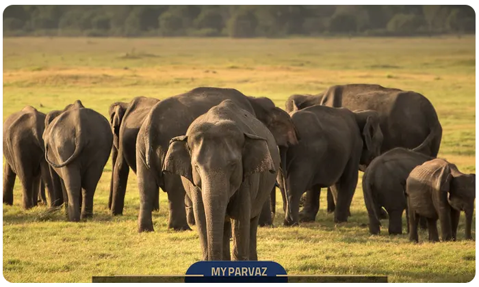 Kadulla National Park, Sri Lanka